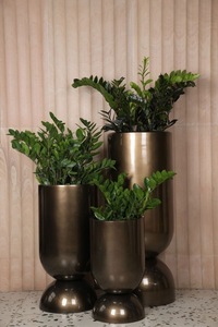 Ensemble de pots de fleurs en métal modernes avec plantes vertes pour la décoration intérieure, style minimaliste - Product Image 3