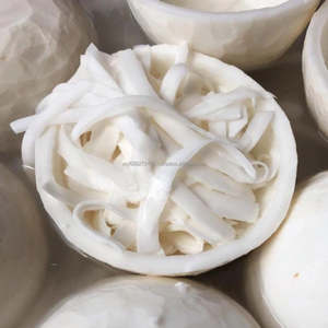 Tiras de Carne de Coco Congelada al Vacío IQF a Granel de Filipinas, Alargadas con Conservación de Agua para Procesamiento de Alimentos - Product Image 1