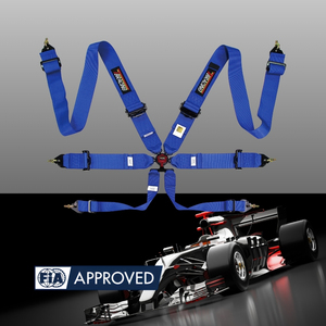 TBRACING ECO-A 6 Point Racing Harness With 16 Color Options And Custom Logo For FIA Seat Belt Dealer Business Supply - Product Image 1