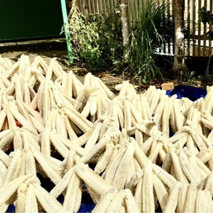 Fibra Vegetal de Luffa Seca al por Mayor para la Fabricación de Esponjas de Baño - Product Image 3