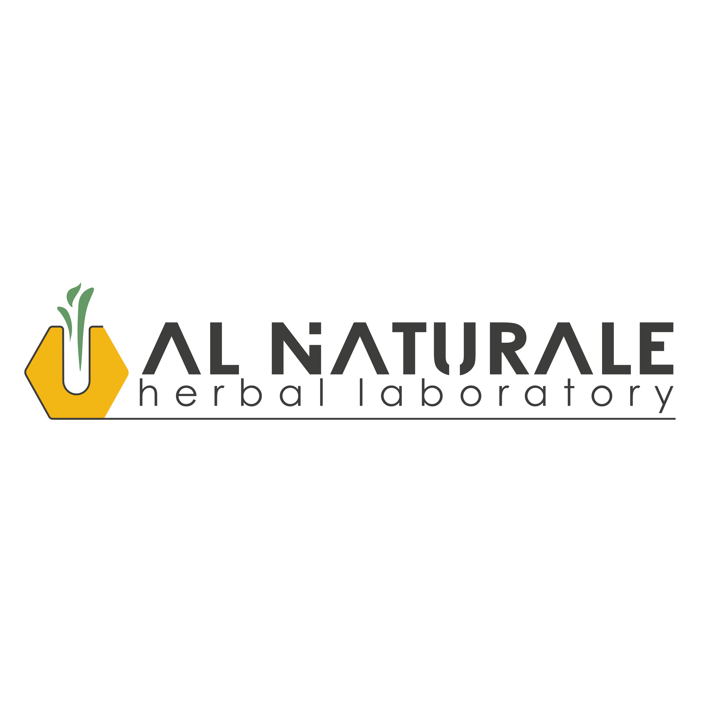 AL NATURALE SAS logo
