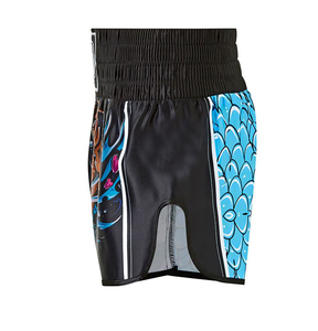 Men's MMA Grappling BJJ Martial Arts Shorts Sublimated Print Spandex/<b>Polyester</b> Breathable 300g Fabric <b>Boxer</b> Shorts for Fight - Product Image 1