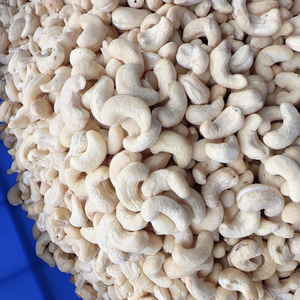 ผลิตเม็ดมะม่วงหิมพานต์อบออร์แกนิก W240 เม็ดมะม่วงหิมพานต์ออร์แกนิกแบบเต็มเมล็ด W320 บริษัท ซานติโก จำกัด ขายส่งและส่งออกไปยังเอเชีย ยุโรป และตะวันออกกลาง - Product Image 1