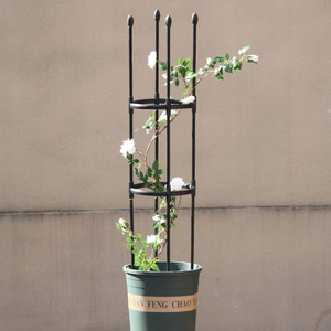Soporte de Metal para Tomates, Recubierto de Plástico, para Plantas Trepadoras - Product Image 5