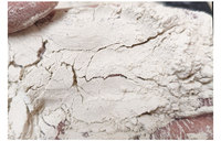 Additif pouzzolanique de poudre de zéolite de qualité construction haute activité pour le mélange de ciment de mortier de béton minéral non métallique