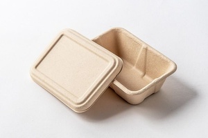 Boîte à lunch jetable en bagasse de canne à sucre biodégradable de 750 ml, conteneur alimentaire rectangulaire non blanchi pour repas, vente en gros - Product Image 1