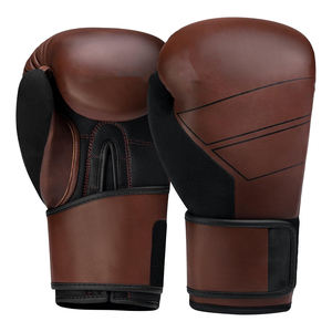 Gants de boxe en matériau recyclé pour hommes, écologiques, en polyester PET, avec fermeture auto-agrippante, 12oz, 14oz, 16oz, paume respirante, gants d'entraînement - Product Image 1