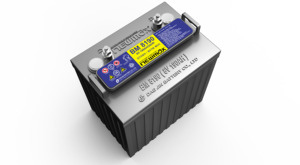 11 Baterías NEWMAX BM8170 de ciclo profundo inundadas de 8V 170AH, 28.8kg, vida útil de 7-8 años para carros de golf, sistemas solares, inversores de red y UPS - Product Image 6