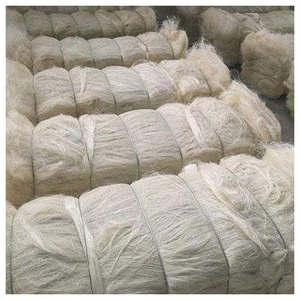 Fibre de sisal brute haute résistance pour la fabrication de cordes, de ficelles et de brosses - Product Image 3