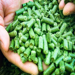 Granulés d'alfalfa de qualité supérieure pour l'alimentation du bétail, teneur élevée en fibres, qualité constante, alimentation animale pour bovins laitiers, chevaux, moutons - Product Image 6
