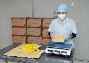 มะม่วงอบแห้งแบบนิ่มจากเวียดนาม - Product Image 4