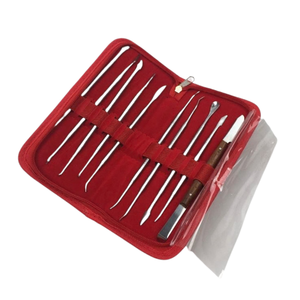 DERMISPRO Kit d'instruments de sculpture de cire en acier inoxydable pour laboratoire dentaire, 10 pièces avec poignée ergonomique pour la sculpture de modèles dentaires - Product Image 1