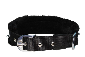 Collier pour chien rembourré et confortable avec picots, réglable, pour chiens de petite à grande taille, de Divine International - Product Image 4