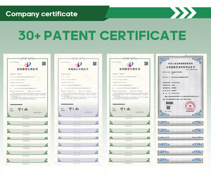 Véhicules de transport municipal approuvés CE ISO itinéraire touristique balade en voiture à vendre - Product Image 6