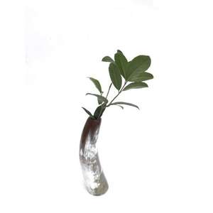 Juego de Jarrones de Flores de Cuerno de Búfalo Antiguo, Hechos a Mano, de Cuerno Natural, Adorno para el Hogar, Dos Tamaños, Estilo Rústico, Decorativo para Uso Doméstico - Product Image 3
