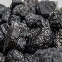 Résine de Shilajit Pur de l'Himalaya en Forme de Briques Dures en Quantités Importantes en Provenance d'Inde