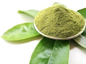 Té de Hoja de Guanábana Seca en Bolsitas, Hoja Individual, Empaque Plástico Sellado, Origen Tropical, Orgánico, Hierbas Sueltas para Infusión - Product Image 3