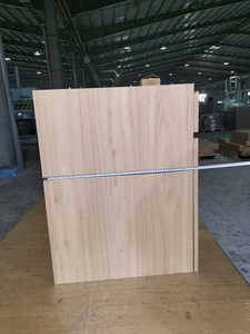 Mueble de Cocina Moderno con Base de Madera Clara, Construcción de Panel MDF, Estilo Shaker, Modelo BC2901 L, Unidad de Almacenamiento para Cocina - Product Image 5