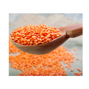 Lentilles rouges fendues de qualité supérieure pour l'exportation en vrac - Product Image 4