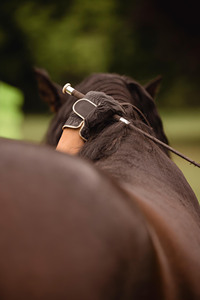 Guantes de Equitación Sublimados Personalizados, Guantes Ecuestres con Estampado Colorido, Servicio OEM, Guantes Transpirables para Montar a Caballo - Product Image 6