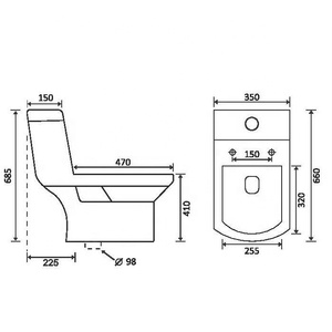 Premium EWC Ceramic One Piece Water Closet Indian Factory Asian Toilet For Modern Bathroom Sanitary Ware Projects - Product Image 6