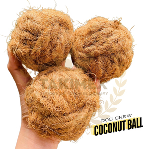 Noix de coco fibre de coco boule jouet à mâcher écologique naturel chien mâcher soins dentaires formation traiter pour toutes les tailles de chien végétalien - Product Image 3