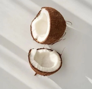 Suministro al por Menor de Coco Vietnamita Descascarillado para Distribuidores Globales - Product Image 1