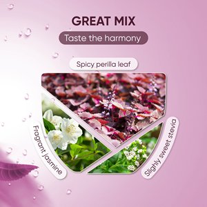 Té Herbal Premium de Perilla Morada con Jazmín y Stevia, Apoya la Función Normal del Sistema Respiratorio, Bolsitas de Té Mezclado, Paquete de 2G, Marca NMPT - Product Image 6