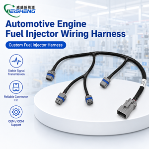 Faisceau de câblage personnalisé pour injecteurs de carburant automobiles avec gaine tressée et connecteurs Delphi/AMP pour systèmes moteur - Product Image 1