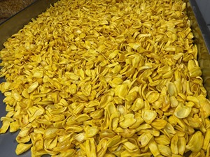 Precio de Fruta de Jackfruit Natural en Rodajas Deliciosas, Secas, Crujientes y Dulces, Snack a Granel Ultra-Crujiente, Fruta Frita al Vacío, Snacks Saludables - Product Image 5