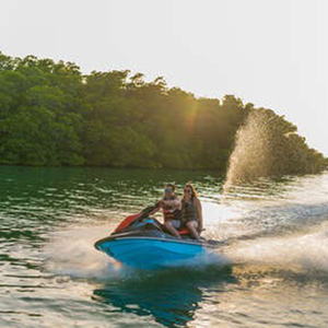 Yamaha EX Sport 2023 - Product Image 4