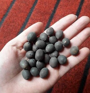 Premium Agriculture Product Dried Lotus <b>Seeds</b> Sweet Natural Flavor Long <b>Storage</b> Life for Bulk Buyers Worldwide - Product Image 3