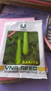 Semi di Zucca Premium CRADLE <span class=keywords><strong>of</strong></span> <span class=keywords><strong>LIFE</strong></span> ad Alta Resa, Durata di Conservazione 12 Mesi per Uso Agricolo - Product Image 4