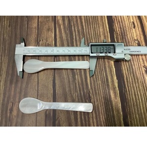Cuillère de service artisanale en nacre naturelle ILAHI, style bohème, blanche, non toxique, en plastique PE, pour les fêtes, origine Uttar Pradesh - Product Image 4