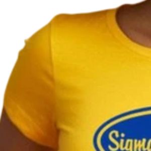 T-shirt graphique personnalisé pour femme, manches courtes, col rond, impression de logo premium, vêtement décontracté pour université et sororité - Product Image 3