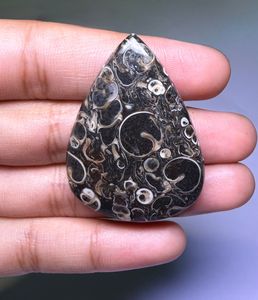 หินอาเกต TURRITELLA แบบคาโบชอง ขายส่งเป็นล็อตตามน้ำหนัก มีรูปทรงและขนาดต่างๆ ใช้สำหรับทำเครื่องประดับ - Product Image 1