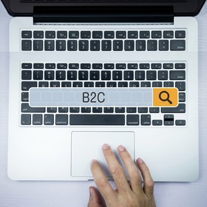 Servicios de Plataforma de Comercio Electrónico Empresarial B2B B2C, Ingeniería de Tiendas Digitales Escalables y Arquitectura de Crecimiento - Product Image 5