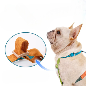 Adjustable Nylon Dog Harness Teal Orange Green Buckle Closure Simple Style for Medium Dogs - Product Image 5