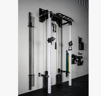 Equipo de Gimnasio en Casa para Garaje o Sótano, Rack Plegable Montado en Pared con Sistema de Cables para Entrenamiento de Fuerza, Ahorro de Espacio