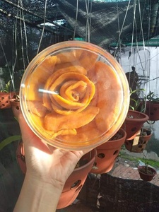 HOT SELLING Soft <b>Dried</b> <b>Mango</b> Slices 25g 30g Mini Can Fiberless Keo <b>Mango</b> Low Sugar Snack OEM - Product Image 4