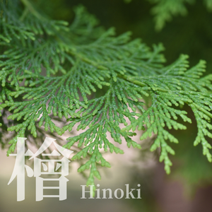 Aceite Esencial de Hinoki Wacca 100% Puro Destilado al Vapor con Aroma Amaderado para Aromaterapia con Características Aromáticas y Refrescantes para la Relajación - Product Image 3