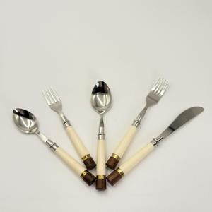 Juegos de Cubiertos de Acero Inoxidable de Alta Calidad con Acabado Espejo y Mangos de Resina para Uso en el Hogar y Fiestas al Precio Más Bajo en India - Product Image 4