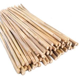 Natural bamboo sticks for <b>gardening</b> eco-friendly poles raw <b>cane</b> stake crafts making materials - Product Image 3