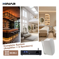 HINAR 600W 2.1 Channel Wall Speaker Set 6.5 Inch Woofer Bluetooth Amplifier Musik Latar Dalam & Luar Ruangan
