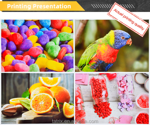 GI-890 di <span class=keywords><strong>inchiostro</strong></span> alla rinfusa per <span class=keywords><strong>Canon</strong></span> PIXMA G1800 G4800 <span class=keywords><strong>inchiostro</strong></span> di ricarica Tatrix GI890 GI 890 <span class=keywords><strong>inchiostro</strong></span> di ricarica Premium compatibile a base d'acqua - Product Image 5