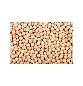Pois chiches fiables de qualité constante pour la production de houmous, de pâtes et de snacks - Product Image 6