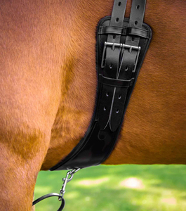 Standard Quality Italian Leather Horse Equipment Construction Horse Girth With Specifically Designed for Dressage Saddle - Product Image 4
