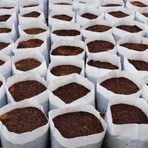 Wholesale Cocopeat Premium Growing <b>Medium</b> for Vegetable Farming Flower Cultivation and International Export Business - Product Image 5