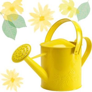 Arrosoir en métal galvanisé résistant à la rouille, outil de jardinage pour plantes, fleurs et entretien de la pelouse, avec poignée confortable et bec verseur. - Product Image 1