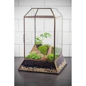 Ensemble de 3 terrariums en verre avec support en métal, pot de fleurs décoratif d'intérieur pour la maison, le bureau, la table de café et un style moderne - Product Image 6